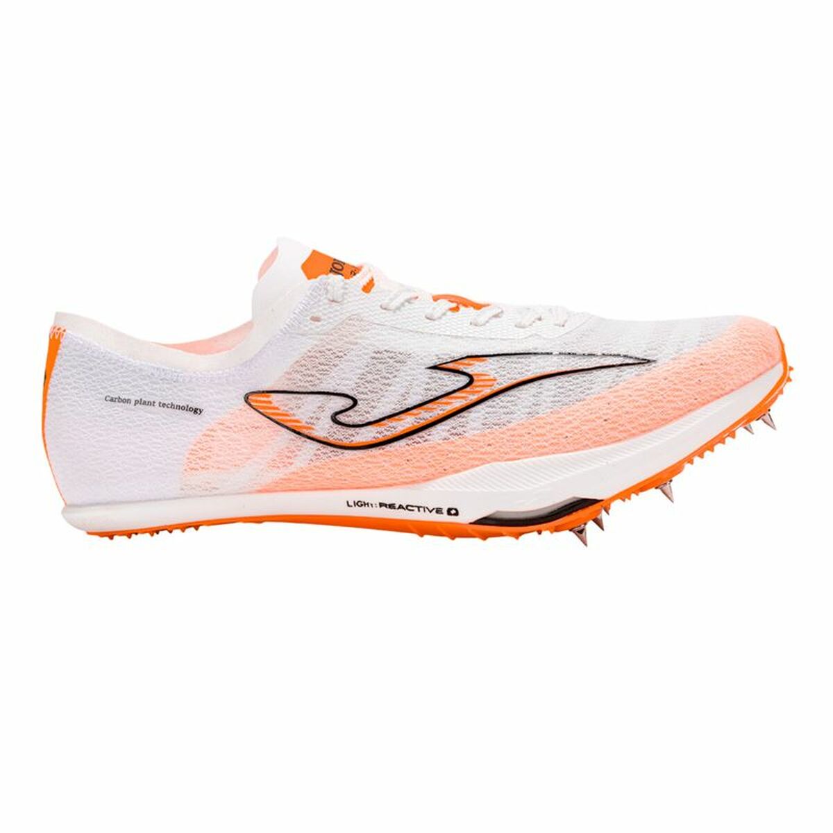 Zapatillas